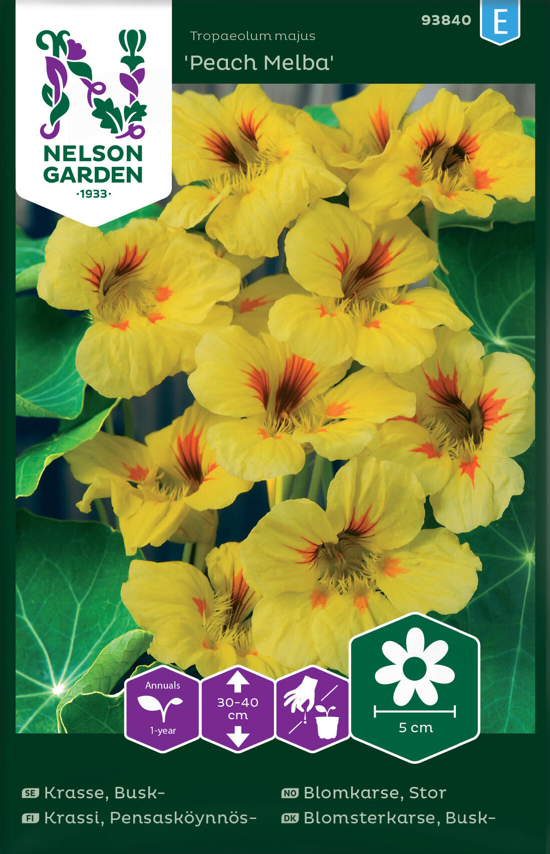 Stor krasse 'Peach Melba'